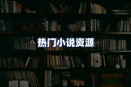 热门小说资源